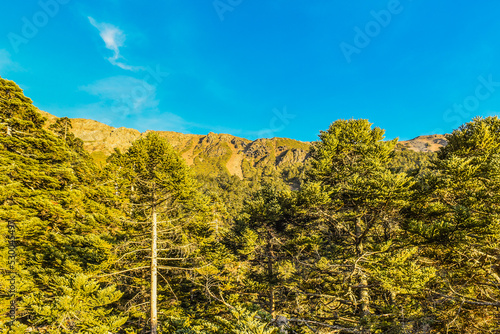 Landscape View Of Yushan Mountains On The Trail To Mt. Jade Front Peak, Yushan National  Park, Chiayi, Taiwan photo