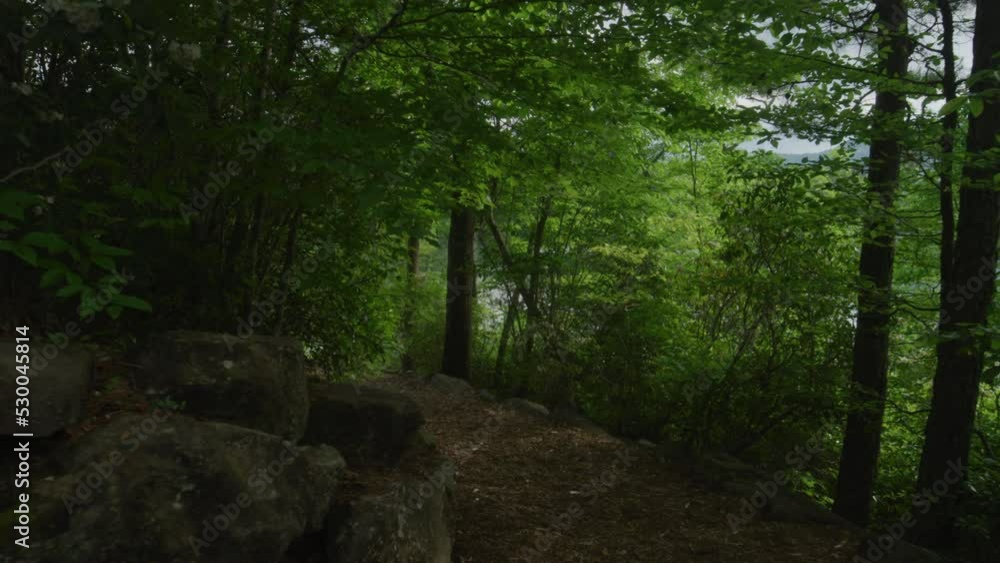 Slow motion pushing around corner of forested dirt path above Fontana lake in North Carolina Slow motion pushing around corner of forested dirt path above Fontana lake in North Carolina