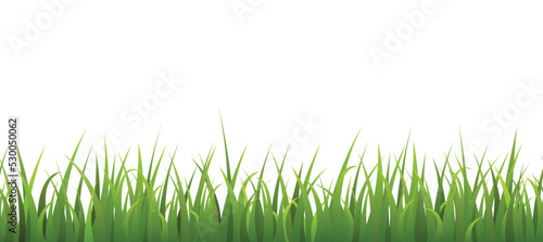 Seamless grass border or lawn, realistic vector illustration on white background.