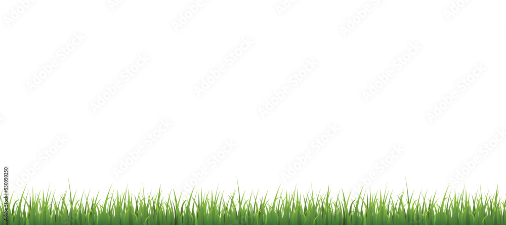 Panoramic green grass border flat style, vector illustration Panoramic green grass border flat style, vector illustration