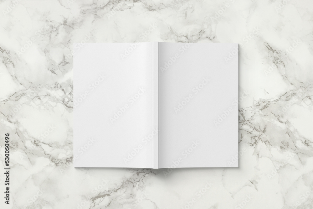 Φωτογραφία Back cover magazine mockup