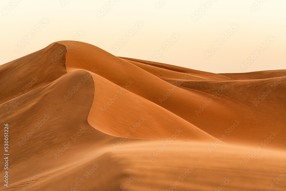 Wind in the desert