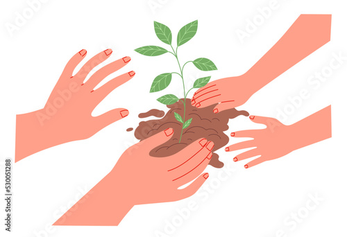 Care of the plant, planting. Hands of adult and child with a sprout in the ground