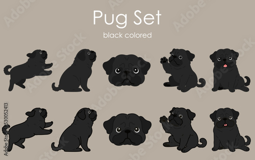 Fototapeta Naklejka Na Ścianę i Meble -  Simple and cute black colored Pug illustrations set