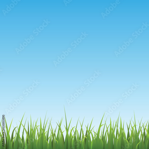 Summer landscape card or banner backdrop mockup, realistic vector illustration.