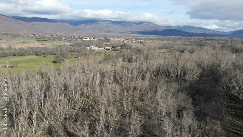 Descending aerial drone shot on a partially cloudy day with a mountain range in the background, over bare tree tops. Descending aerial drone shot on a partially cloudy day with a mountain range in the background, over bare tree tops.