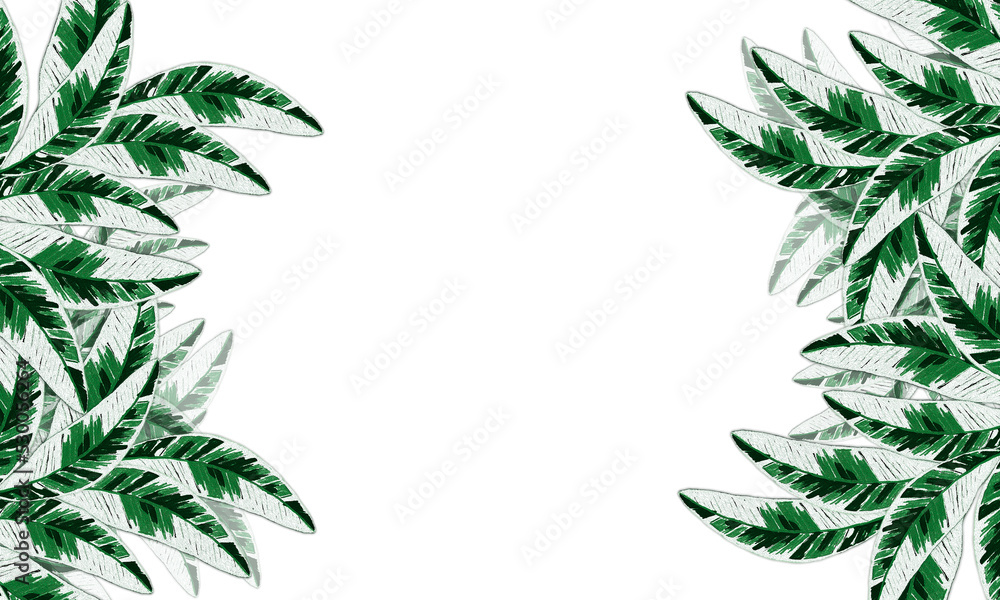 banana leaves watercolor paint  border and empty space background