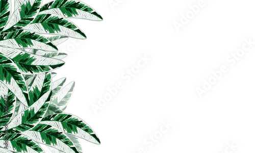 banana leaves watercolor paint border and empty space background