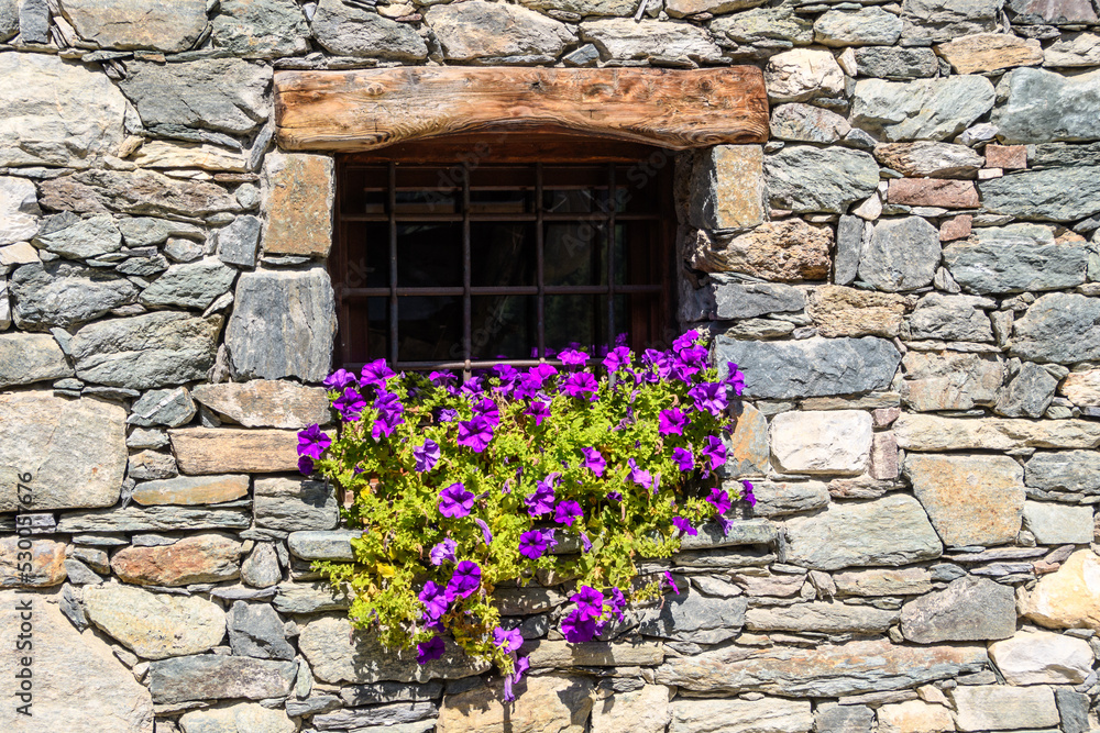 finestra fiorita 03 - fiori sul davanzale di una vecchia finestra con  trave in legno e muro in sassi