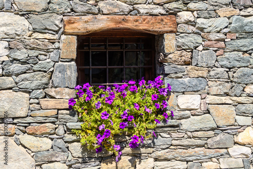 finestra fiorita 03 - fiori sul davanzale di una vecchia finestra con  trave in legno e muro in sassi photo