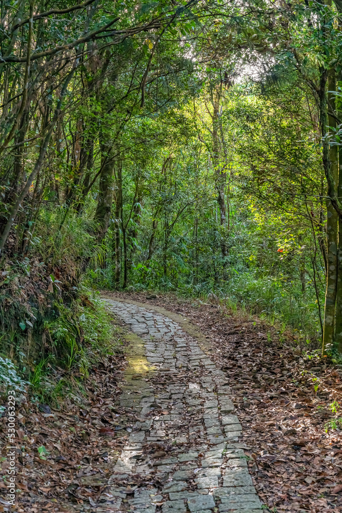 BEAUTIFUL LANDSCAPE PHOTOGRAPHY OF WARK ROAD AT BACH MA NATIONAL PARK IN HUE, VIETNAM BEAUTIFUL LANDSCAPE PHOTOGRAPHY OF WARK ROAD AT BACH MA NATIONAL PARK IN HUE, VIETNAM