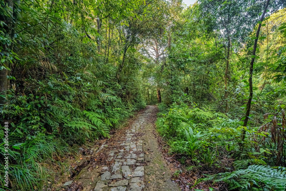BEAUTIFUL LANDSCAPE PHOTOGRAPHY OF WARK ROAD AT BACH MA NATIONAL PARK IN HUE, VIETNAM BEAUTIFUL LANDSCAPE PHOTOGRAPHY OF WARK ROAD AT BACH MA NATIONAL PARK IN HUE, VIETNAM