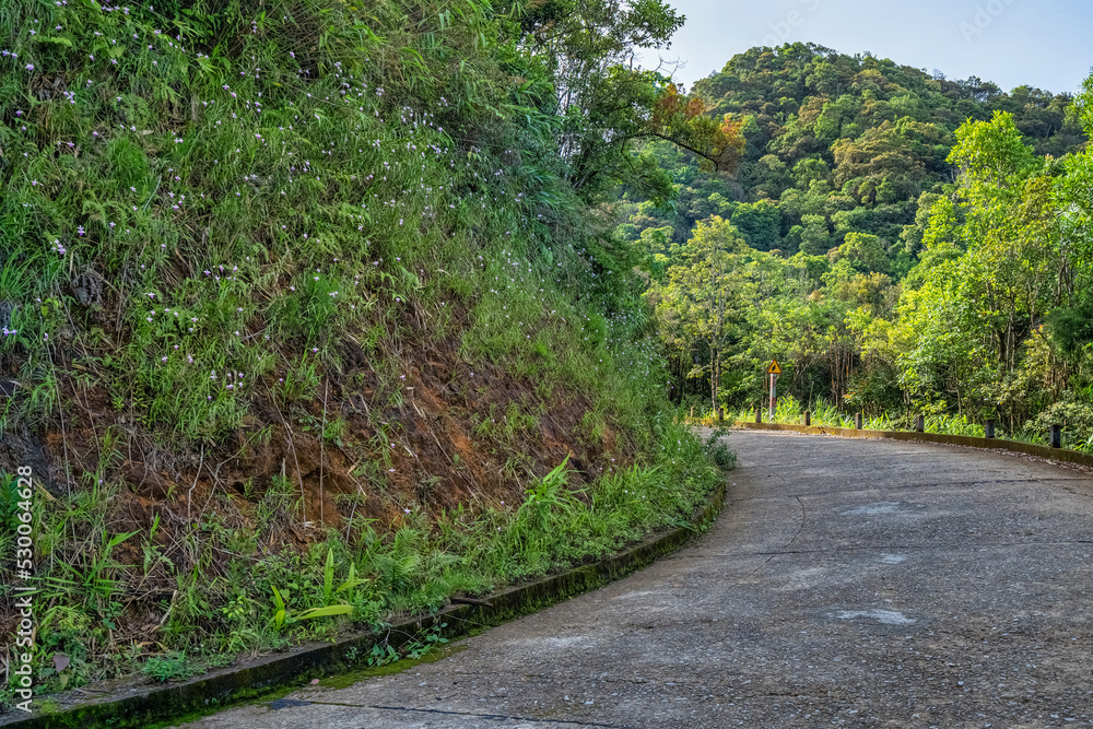 Obraz premium BEAUTIFUL LANDSCAPE PHOTOGRAPHY OF WARK ROAD IN BACH MA NATIONAL PARK, HUE, VIETNAM