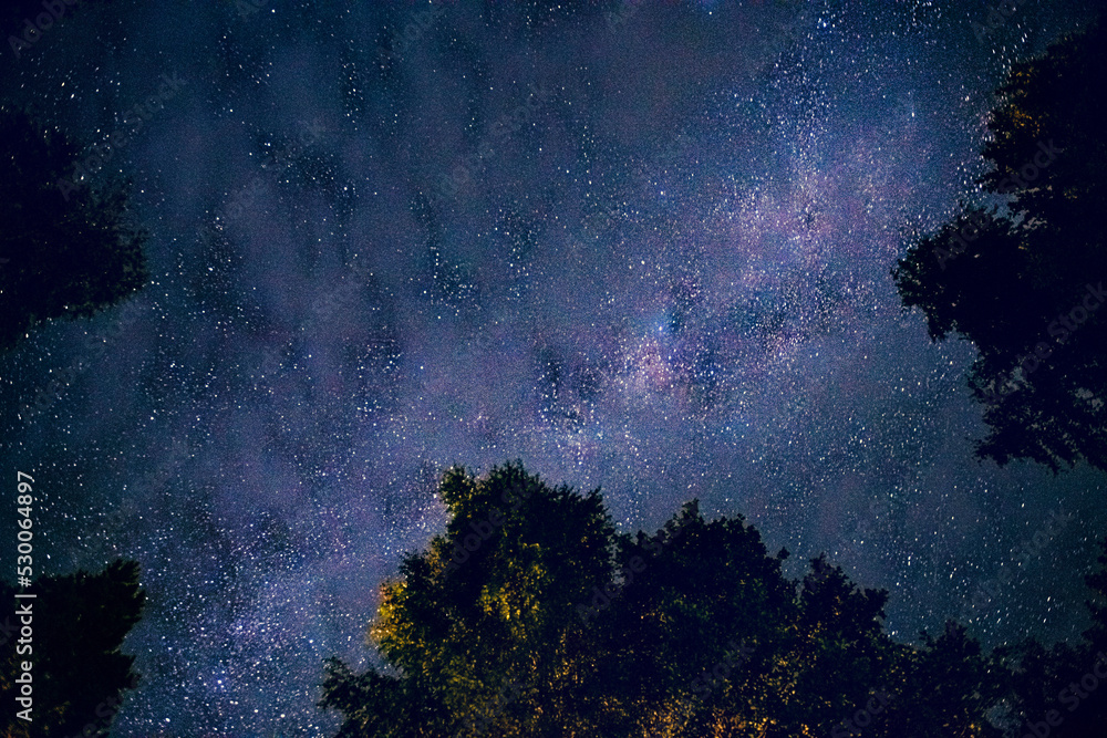 The starry sky through the trees, the milky way between the treetops illuminates the path in the forest. The starry sky is slightly overcast. Soft selective focus, shooting at a long shutter speed.