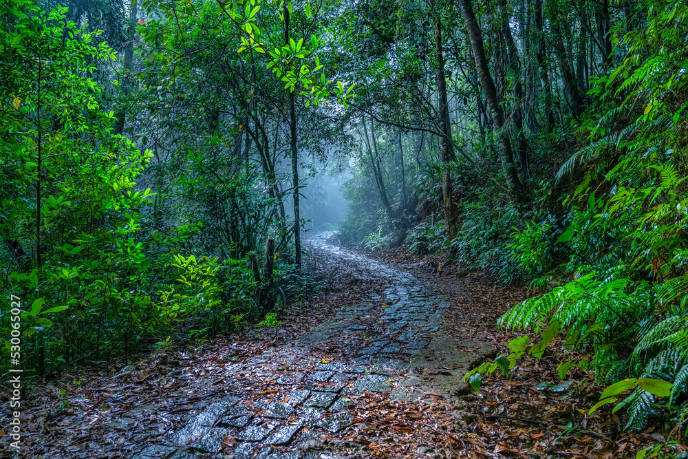 Fototapeta premium BEAUTIFUL LANDSCAPE PHOTOGRAPHY OF WARK ROAD IN BACH MA NATIONAL PARK, HUE, VIETNAM