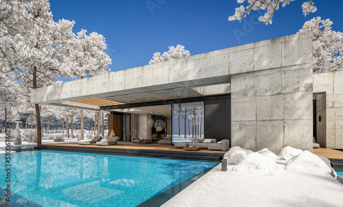 3d rendering of new concrete house in modern style with pool and parking for sale or rent and beautiful landscaping on background. The house has only one floor. Cool winter day with shiny white snow. © korisbo