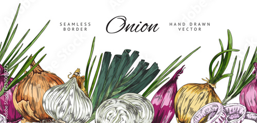 Seamless border with hand drawn colorful different types of onion sketch style