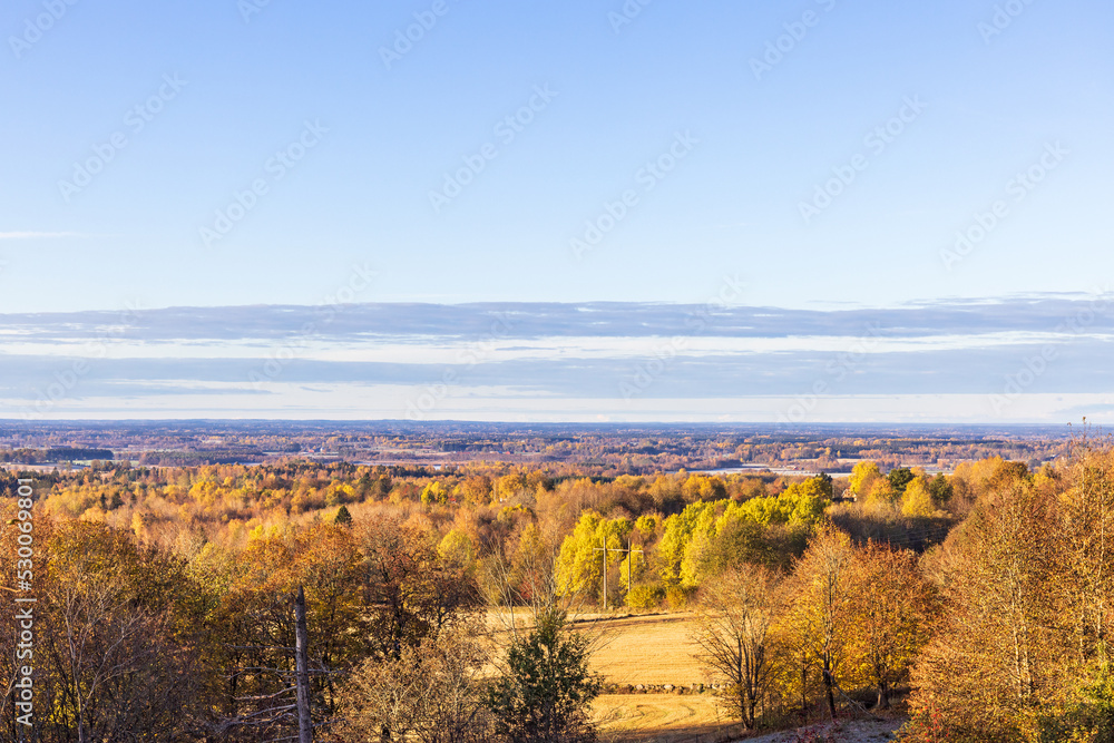 Landscape view at a woodland in autumn colors