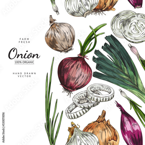 Fresh farm onion banner template hand drawn sketch vector illustration.