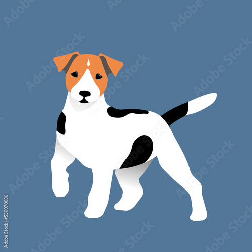 Vector flat illustration of a cute adorable jack Russel terrier dog standing with front paw raised for stickers, postcards