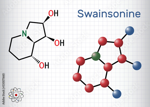 Swainsonine, tridolgosir molecule. It is indolizidine alkaloid from the plant Swainsona. Structural chemical formula, molecule model. Sheet of paper in a cage