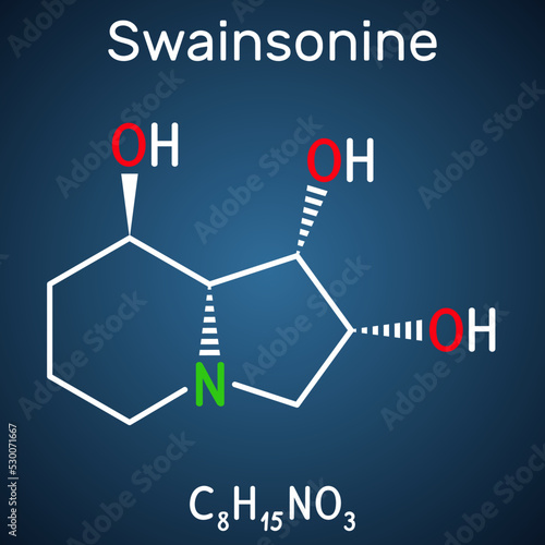 Swainsonine, tridolgosir molecule. It is indolizidine alkaloid from the plant Swainsona, with immunomodulatory activity. Structural chemical formula on the dark blue background.
