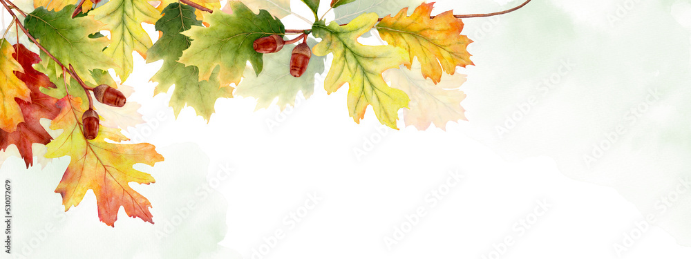 Fototapeta premium Watercolor autumn abstract background with seasonal leaves