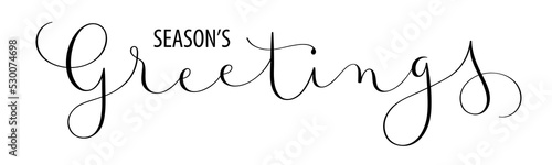 SEASONS'S GREETINGS black vector brush calligraphy banner
