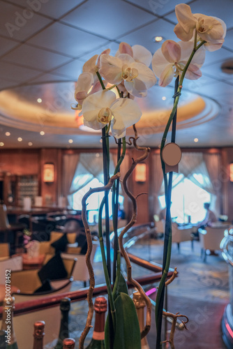 Elegant Art Deco interior design furnishing bar lounge area onboard ocean liner cruiseship cruise ship with chairs, tables, bar counter and brass room dividers 