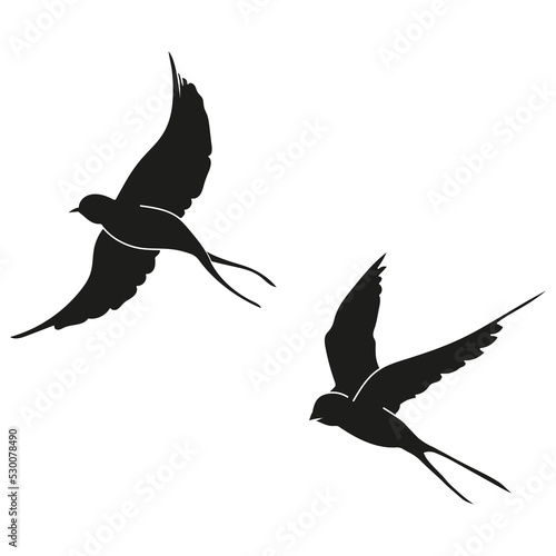 Vector black silhouette of barn swallows in flight, stickers, or a tattoo sketch with swallows