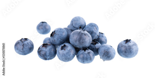 Fresh blueberry isolated on white background. Bilberry or whortleberry. Clipping path.