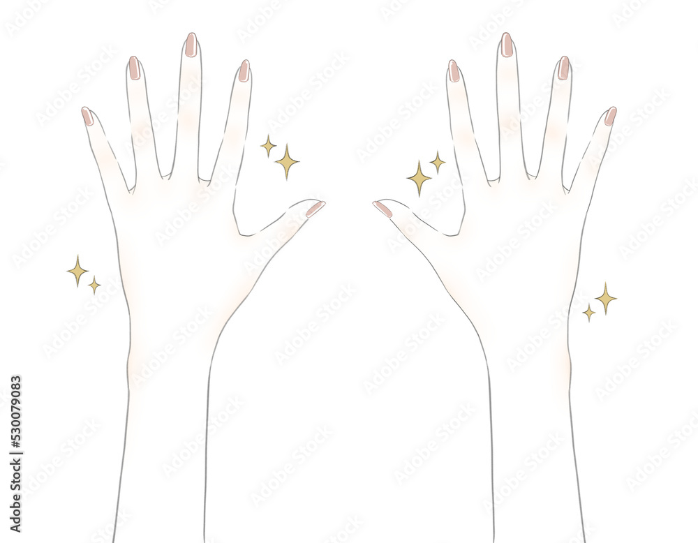 綺麗な手のイラスト(血色あり) 綺麗な手のイラスト(血色あり)