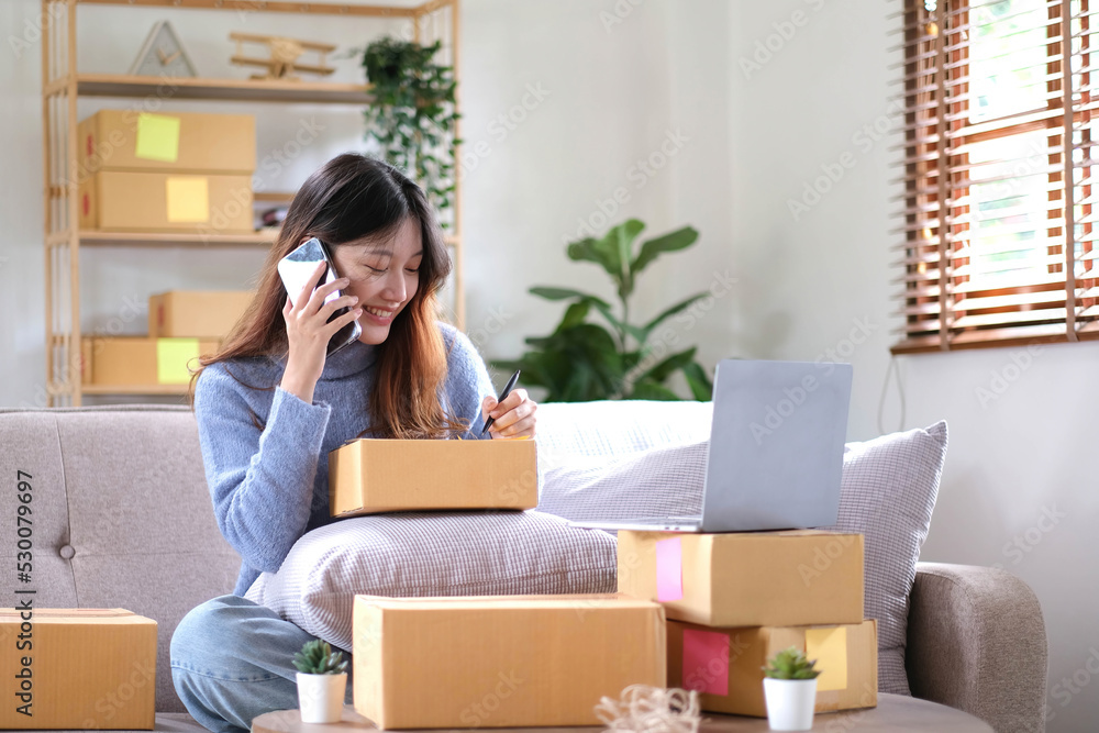 Portrait young asian woman using laptop computer for work with parcel box on sofa in living room interior Portrait young asian woman using laptop computer for work with parcel box on sofa in living room interior