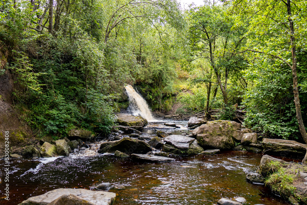 waterfall in the forest