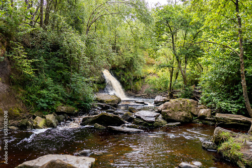 Obraz na płótnie waterfall in the forest w salonie
