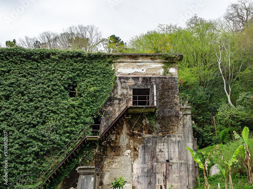 Abandoned building overgrown with ivy in a green park. Outdoor steps lead to an old abandoned building