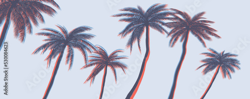 Palms vector graphic t-shirt designs  posters  prints