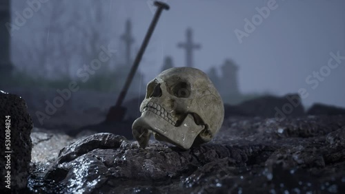 Human skull lying in front of a grave in the cemetery