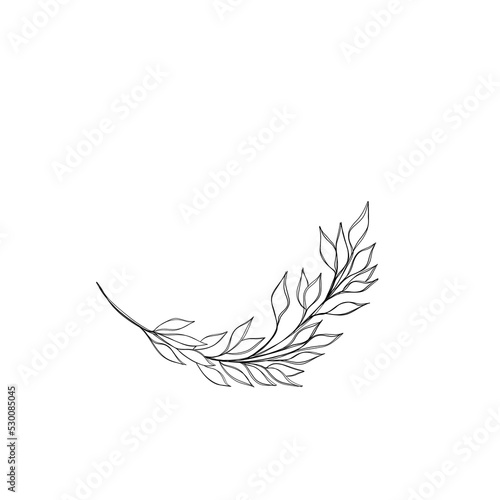 botany tattoo sketch - beautiful twig plant. Botanical element template for g...