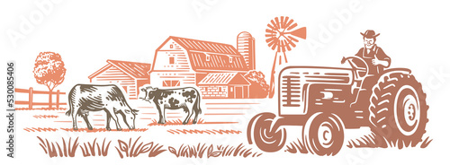 Country farm with tractor and cows. Countryside line sketch