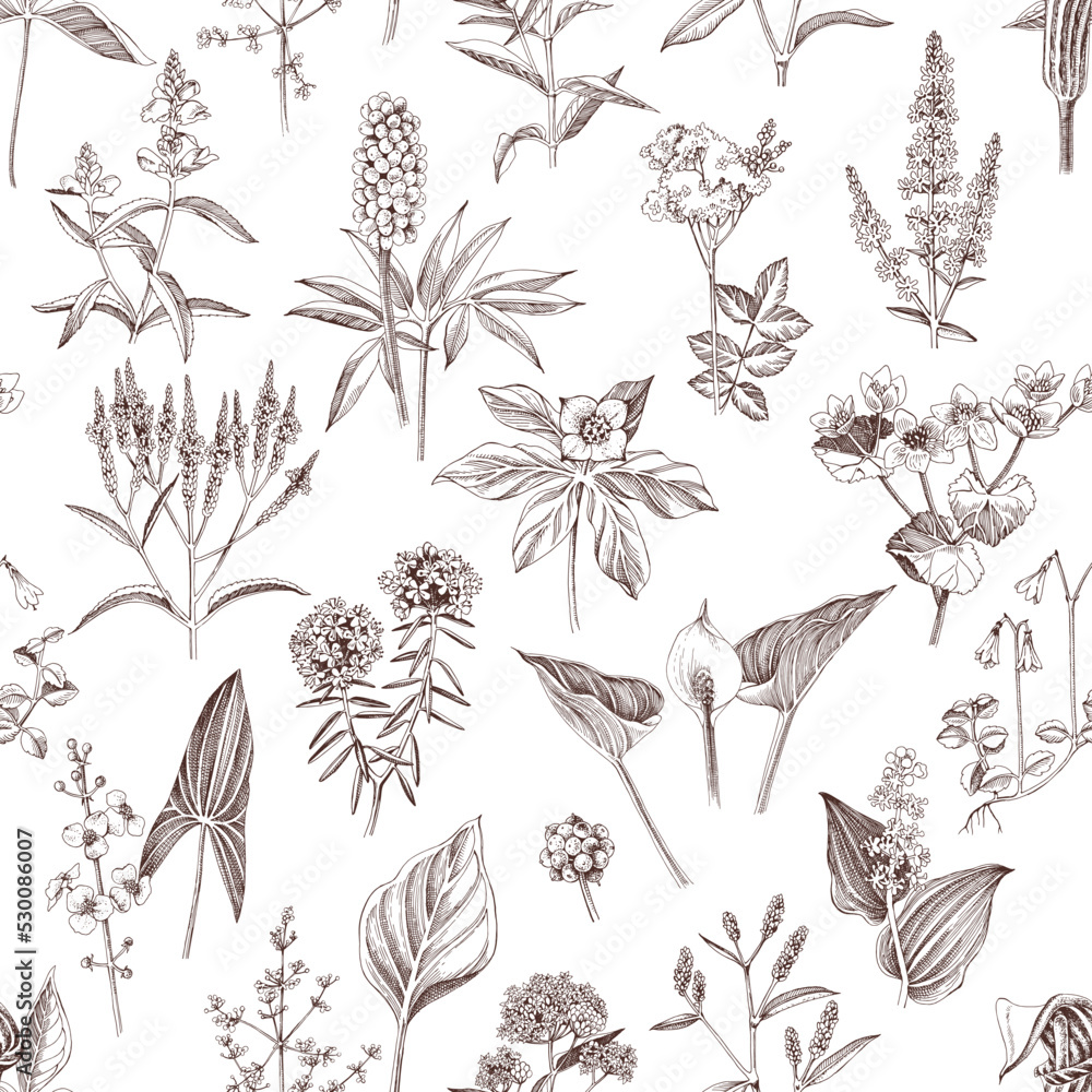 Floral seamless pattern, different swamp plants Floral seamless pattern, different swamp plants
