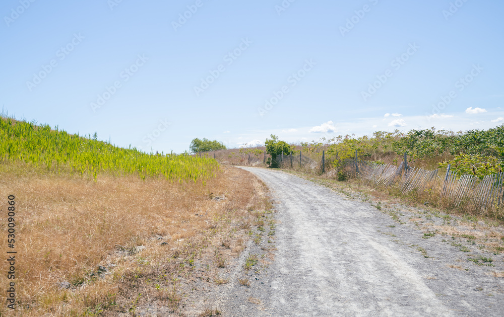 Walking around the trails on Spectacle Island, Boston, MA