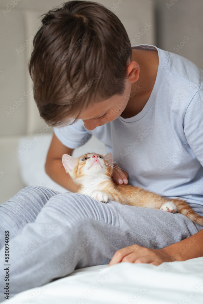 Child boy and a ginger kitten look at each other while sitting on the bed at home. Kid and fluffy pet. Domestic animals concept. Friendship between kids and pets. Child boy and a ginger kitten look at each other while sitting on the bed at home. Kid and fluffy pet. Domestic animals concept. Friendship between kids and pets.