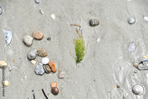 Moments of the Beach 