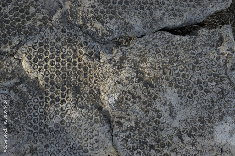 custom made wallpaper toronto digitalA structure of dots on a rock on the ground.