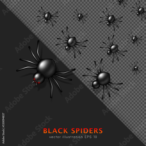 Set of cartoon black venomous crawling spiders. Three dimensional carnivorous creepy insects. Horror decoration for Halloween. Flock of spooky spiders isolated on black and transparent background