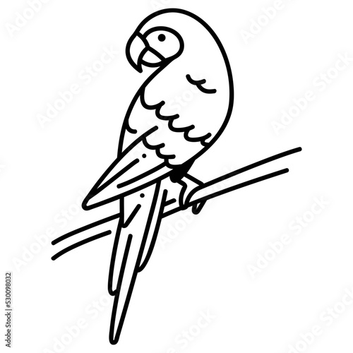Scarlet macaw icon