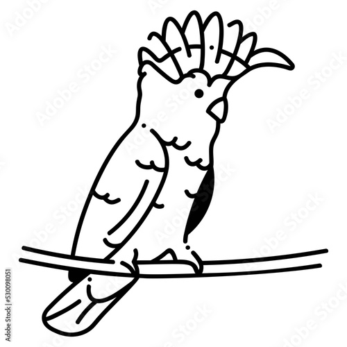 Major mitchell cockatoo icon photo