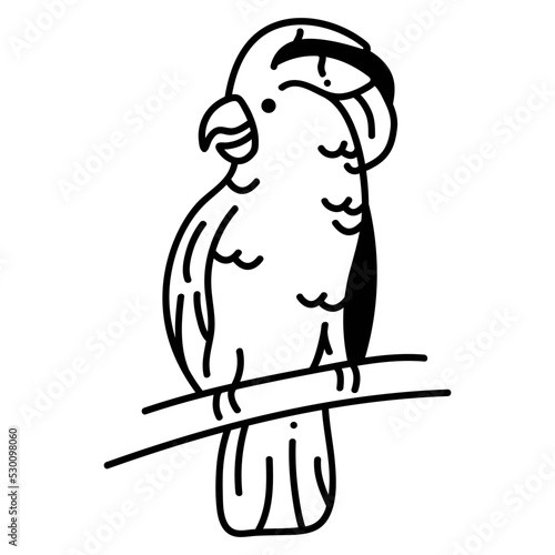 Moluccon cockatoo icon