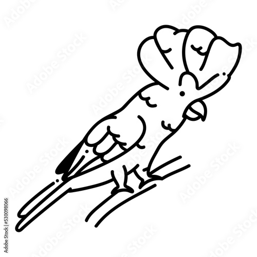 Umbrella cockatoo icon